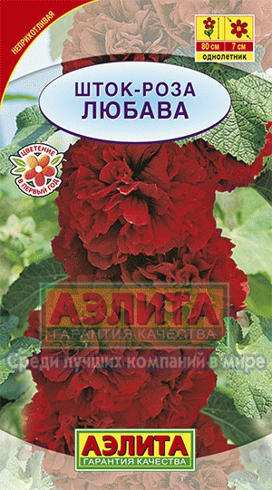 Шток-роза Любава (Аэлита) О