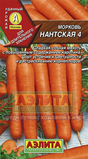 Морковь Нантская 4 (Аэлита)