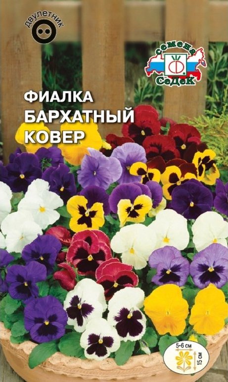 Фиалка-Витрокка Бархатный ковер , смесь цветов (Седек) Д
