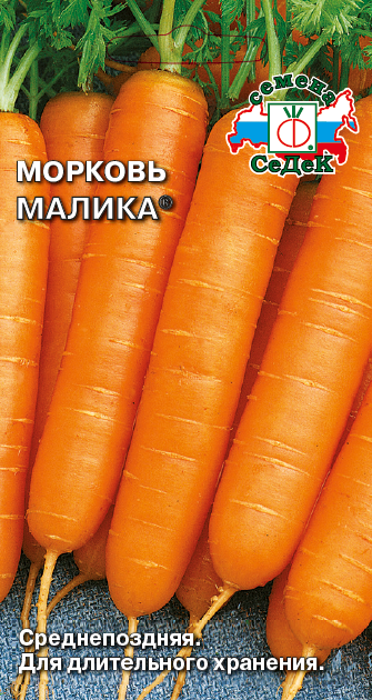 Морковь Малика (Седек)