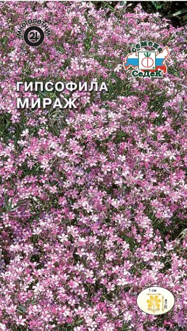 Гипсофила ползучая Мираж, розовая (Седек) М