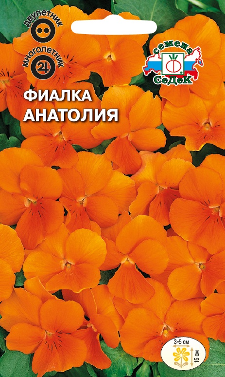 Фиалка Анатолия рогатая, оранжевая (Седек) М