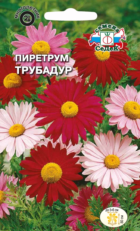 Пиретрум гибридный Трубадур, смесь цветов (Седек) М