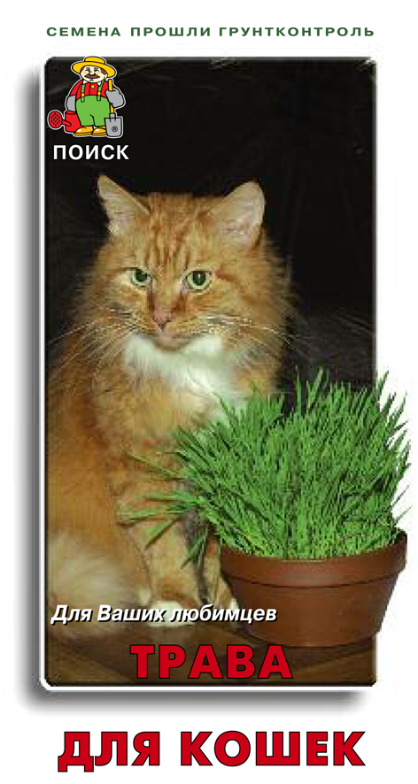 Трава для кошек  ( Поиск)