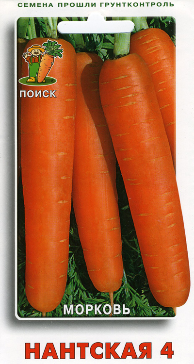 Морковь Нантская 4 (Поиск)