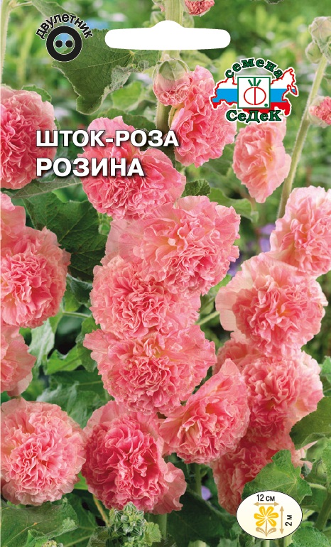 Шток-роза Розина лососево-розовая (Седек) Д