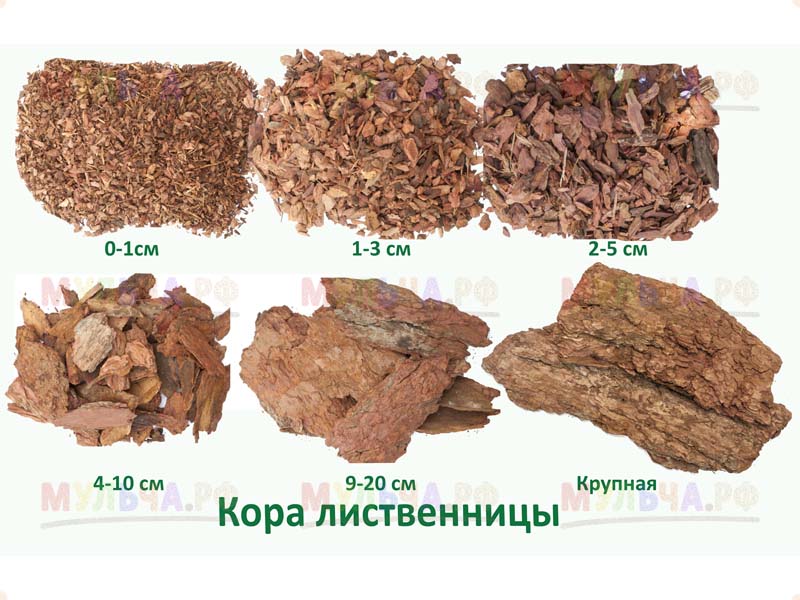 Кора лиственницы сибирской (фракция 2-5 см) 65л 